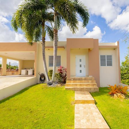 Arenales Vacational House Villa Isabela Buitenkant foto